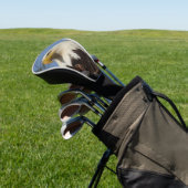 Mature Bald Eagle Close Up Head Golfheadcover (Insitu)