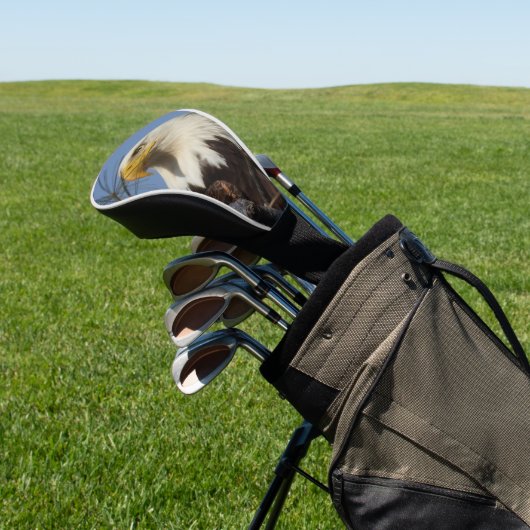 Mature Bald Eagle Close Up Head Golfheadcover (Insitu)
