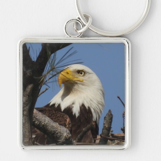 Mature Bald Eagle Close Up Head Sleutelhanger (Voorkant)
