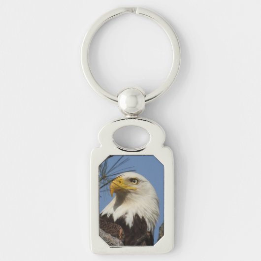 Mature Bald Eagle Close Up Head Sleutelhanger (Voorkant)
