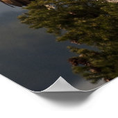 Mature Bald Eagle - Fine Art Print (Hoek)