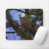 Mature Bald Eagle Gel Muismat (Met muis)
