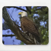 Mature Bald Eagle Gel Muismat (Voorkant)