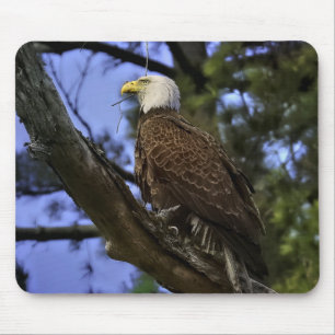 Mature Bald Eagle Gel Muismat