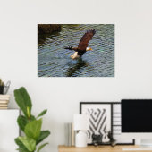 Mature Bald Eagle Hunting Wildlife Art Poster (Thuiskantoor)