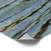 Mature Bald Eagle Hunting Wildlife Art Poster (Hoek)