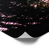 Mature Bald Eagle in Evergreen Tree Poster (Hoek)