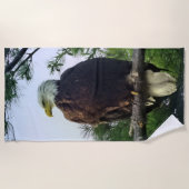 Mature Bald Eagle in Evergreen Tree Strandlaken (Voorkant)