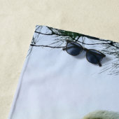 Mature Bald Eagle in Evergreen Tree Strandlaken (In situ)