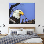 Mature Bald Eagle in Nest Canvas Afdruk (Insitu (Slaapkamer))