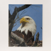 Mature Bald Eagle in Nest Jigzaag Puzzle Legpuzzel (Verticaal)