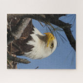 Mature Bald Eagle in Nest Jigzaag Puzzle Legpuzzel (Horizontaal)