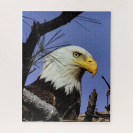 Mature Bald Eagle in Nest Legpuzzel