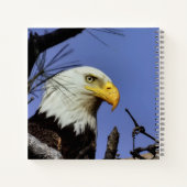 Mature Bald Eagle in Nest *Personalize* Notitieboek (Achterkant)
