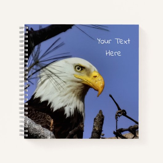 Mature Bald Eagle in Nest *Personalize* Notitieboek (Voorkant)