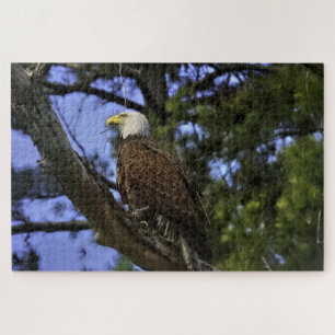 Mature Bald Eagle Legpuzzel