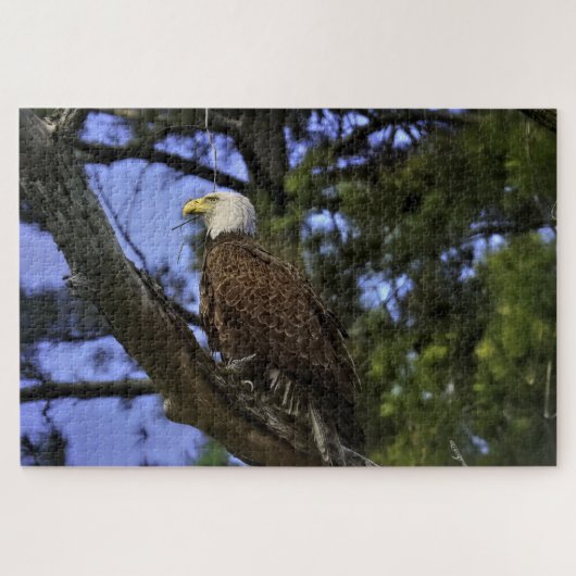 Mature Bald Eagle Legpuzzel (Horizontaal)