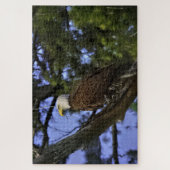 Mature Bald Eagle Legpuzzel (Verticaal)