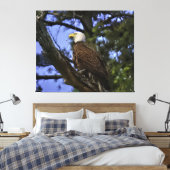 Mature Bald Eagle Pered in Tree Canvas Afdruk (Insitu (Slaapkamer))