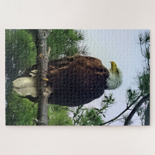 Mature Bald Eagle Pered in Tree Jigzaag Legpuzzel (Horizontaal)