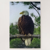 Mature Bald Eagle Pered in Tree Jigzaag Legpuzzel (Verticaal)