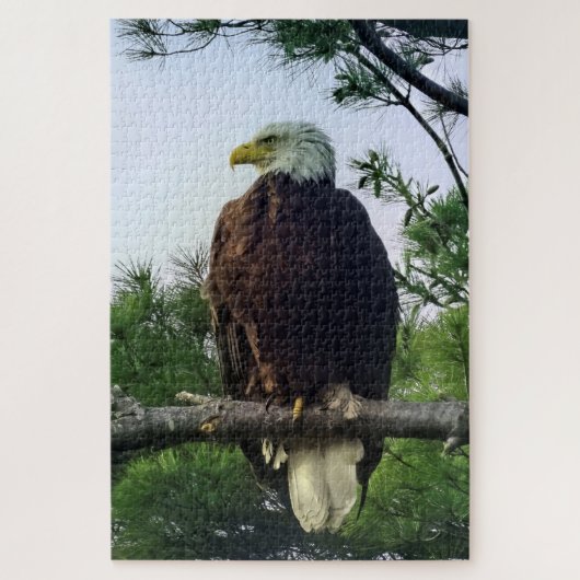Mature Bald Eagle Pered in Tree Jigzaag Legpuzzel (Verticaal)