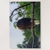 Mature Bald Eagle Pered in Tree Legpuzzel (Verticaal)