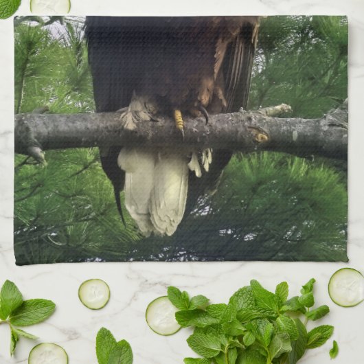 Mature Bald Eagle Pered in Tree Theedoek (Gevouwen)