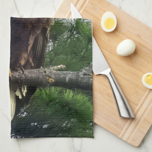 Mature Bald Eagle Pered in Tree Theedoek (Quarter Fold)