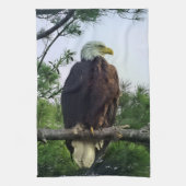 Mature Bald Eagle Pered in Tree Theedoek (Verticaal)