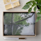 Mature Bald Eagle Pered in Tree Tissuepapier (Geschenk)