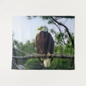 Mature Bald Eagle Pered in Tree Wandkleed (Voorkant (horizontaal))