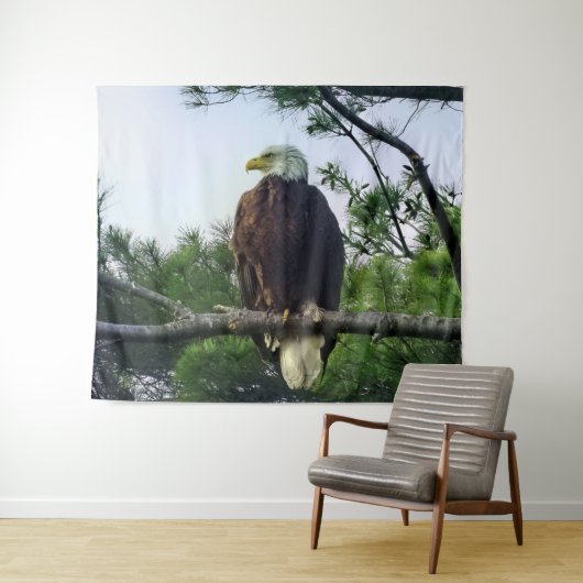 Mature Bald Eagle Pered in Tree Wandkleed (In Situ (horizontaal))