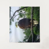 Mature Bald Eagle Pered in Tree Wandkleed (Voorkant)