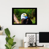 Mature Bald Eagle Wildlife Painting Poster (Thuiskantoor)