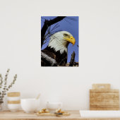 Mature Male Bald Eagle Close Up Head Shot Poster (Keuken)
