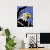 Mature Male Bald Eagle Close Up Head Shot Poster (Thuiskantoor)