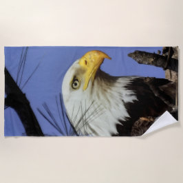 Mature Male Bald Eagle Close Up Head Shot Strandlaken