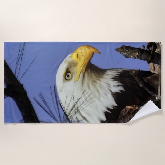 Mature Male Bald Eagle Close Up Head Shot Strandlaken (Voorkant)