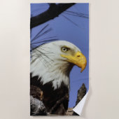 Mature Male Bald Eagle Close Up Head Shot Strandlaken (Voorkant)