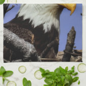 Mature Male Bald Eagle Close Up Head Shot Theedoek (Gevouwen)