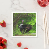 Mature Male Wild Turkey - Thanksgiving Servet (Insitu)