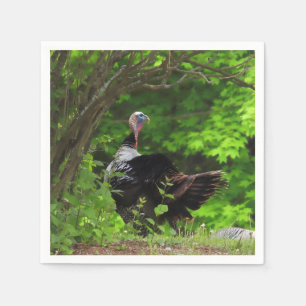 Mature Male Wild Turkey - Thanksgiving Servet