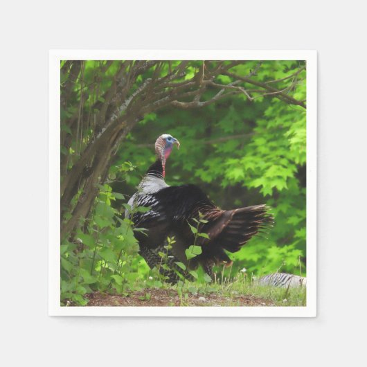 Mature Male Wild Turkey - Thanksgiving Servet (Voorkant)