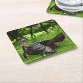 Mature Male Wild Turkije toont veren Kartonnen Onderzetters (Schuin)