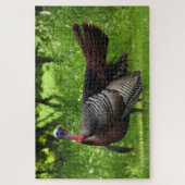 Mature Male Wild Turkije toont veren Legpuzzel (Verticaal)