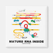 Mature RNA Magneet (Voorkant)