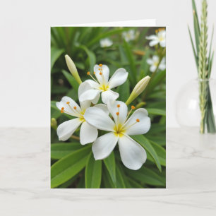 Matwitte bloemkaarten met foto kaart