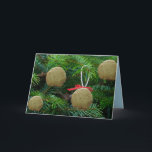 Matzoh Ball Ornaments on Kerstmis - Hanukah Feestdagen Kaart<br><div class="desc">Matzoh Balls on Kerstmis - Funny Holiday Greeting Cards - Gelach,  Humor,  grappig</div>