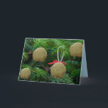 Matzoh Ball Ornaments on Kerstmis - Hanukah Feestdagen Kaart<br><div class="desc">Matzoh Balls on Kerstmis - Funny Holiday Greeting Cards - Gelach,  Humor,  grappig</div>